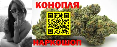 Альфа ПВП Гусиноозёрск